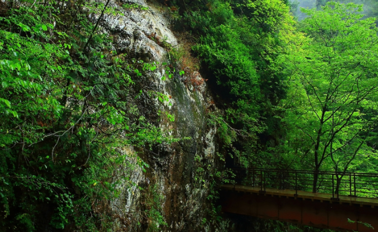 景区成功的营销是游客第一时间向亲友推荐式炫耀