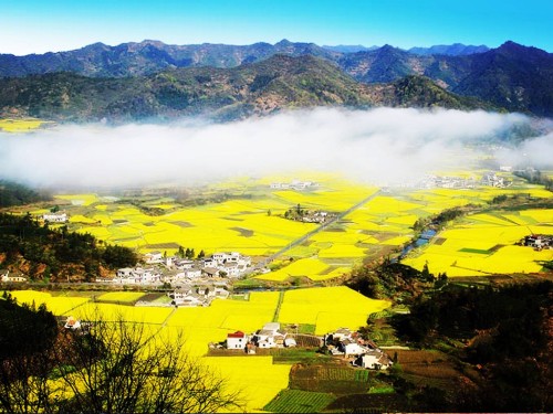 20190425417360.jpg 27.jpg