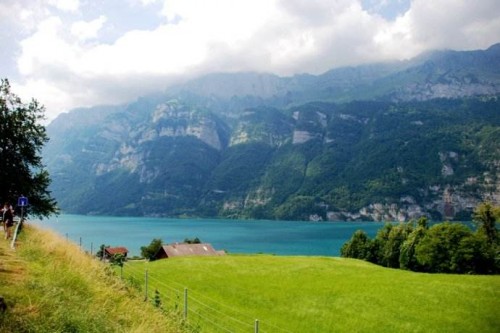 20190425968723.jpg 25.jpg