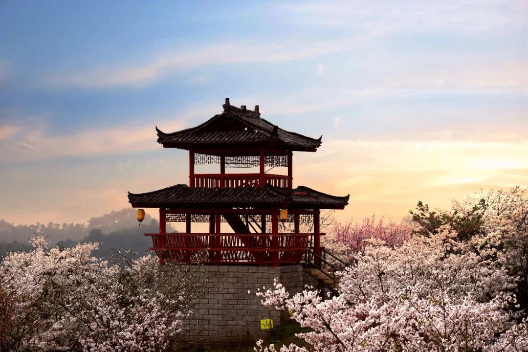 20200326957049.jpeg 1a941e012156491d87e270b098e62e15.jpeg