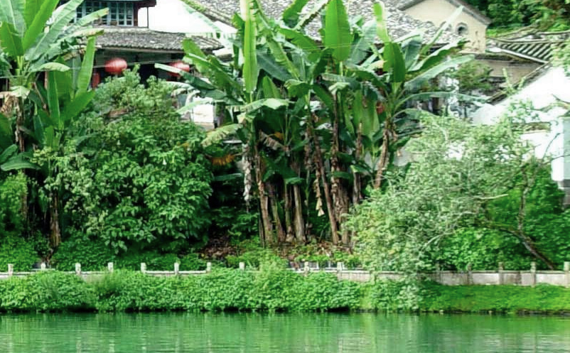 乡村民宿景区宣传策略营销存在问题 乡村民宿景区宣传策略营销存在问题