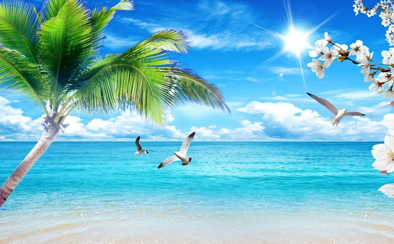 景区内容营销 景区内容营销