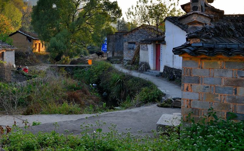 1640231536427349.png image.png