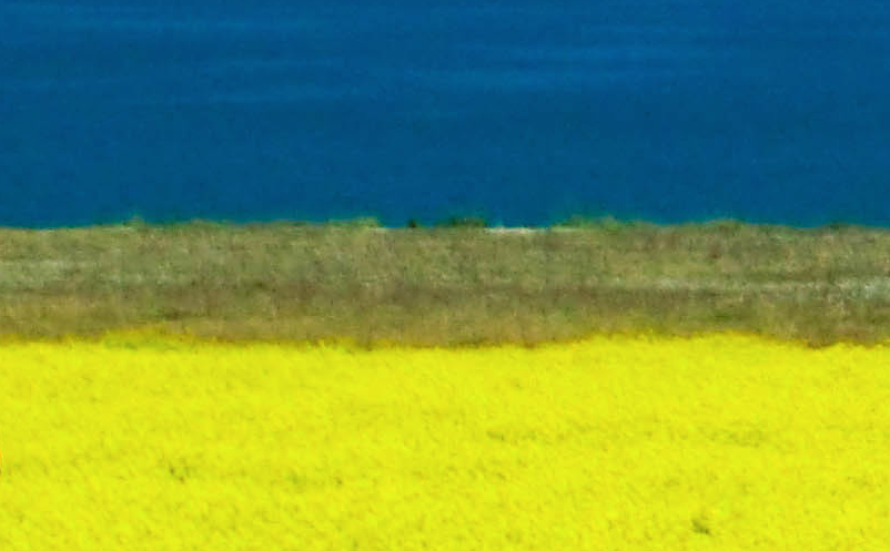 青海湖景区的淡季营销策略 青海湖景区的淡季营销策略