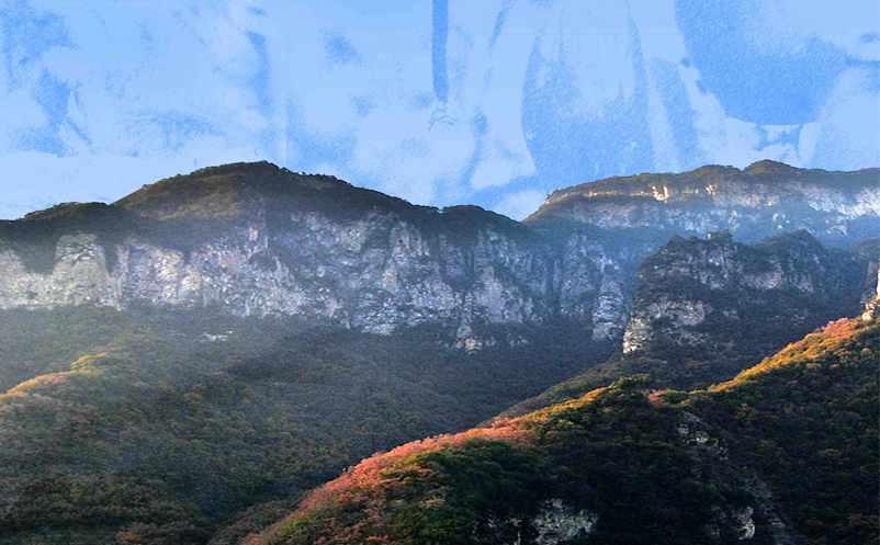 1641527239252365.png image.png