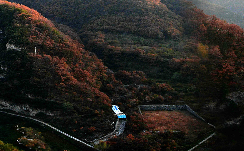 景点地网络直播 景点地网络直播