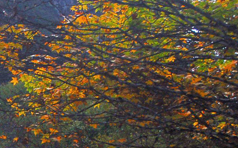 旅游景区微博营销策略 旅游景区微博营销策略