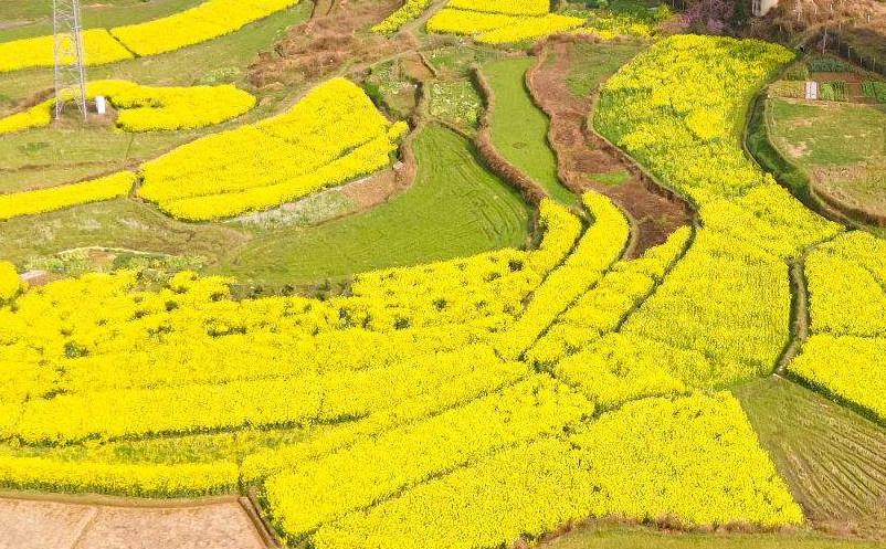 乡村旅游创新型营销策略 乡村旅游创新型营销策略