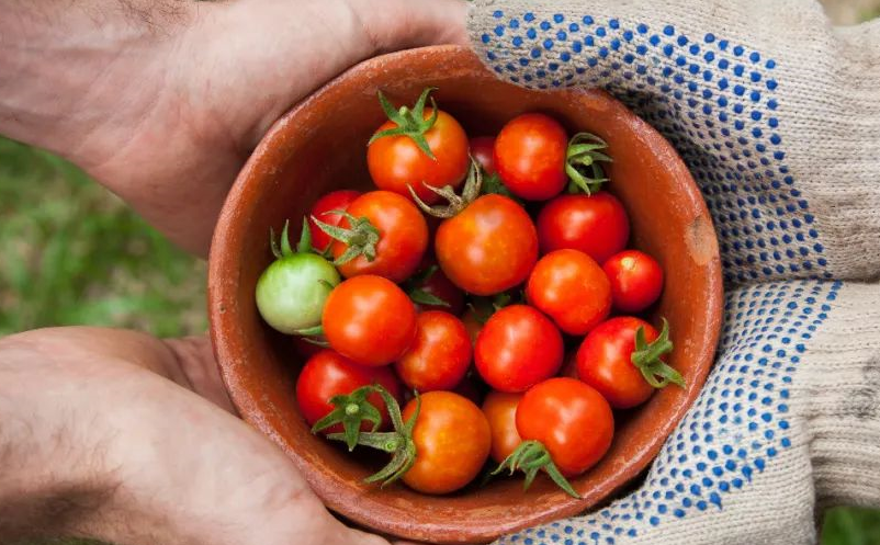 乡村旅游项目开发 乡村旅游项目开发