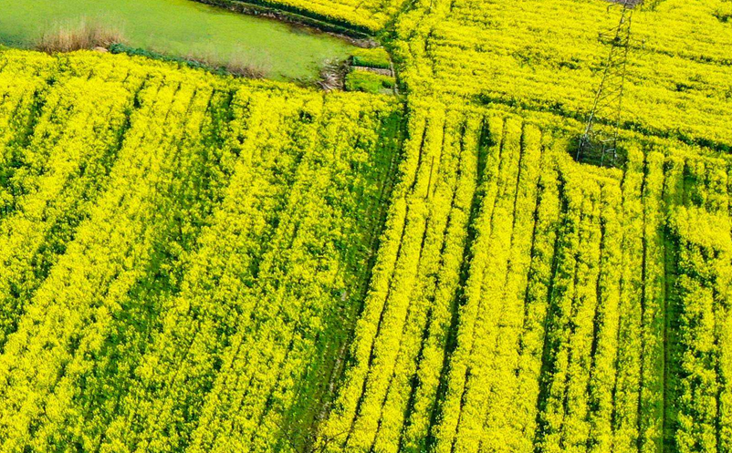 1642398130589505.png image.png