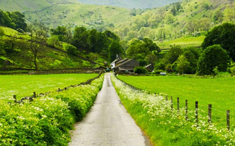 乡村旅游发展 乡村旅游发展