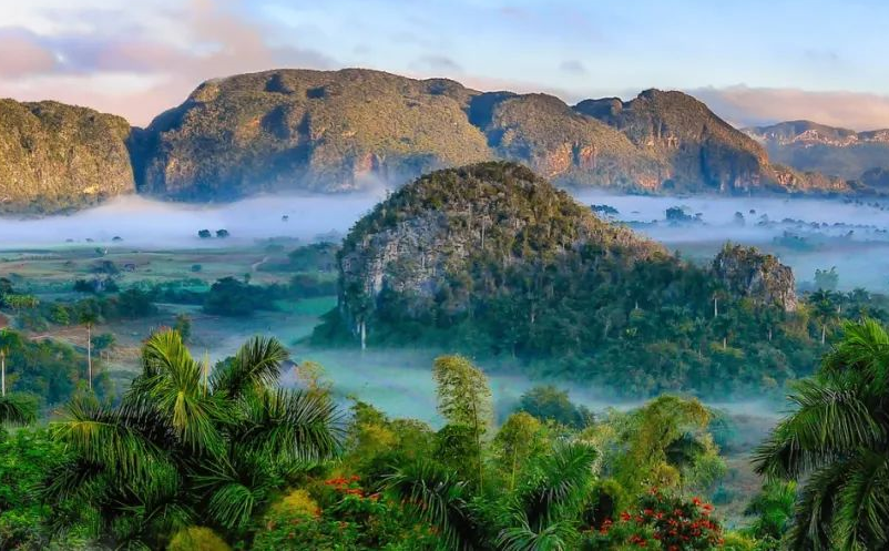 1642908872193574.png image.png