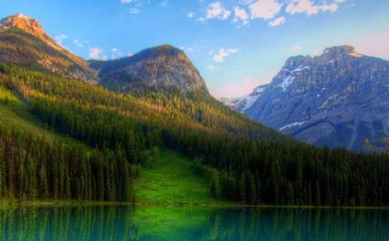 1642915213275658.png image.png