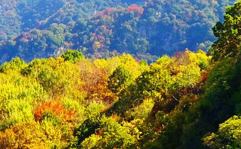 景区营销策略 景区营销策略