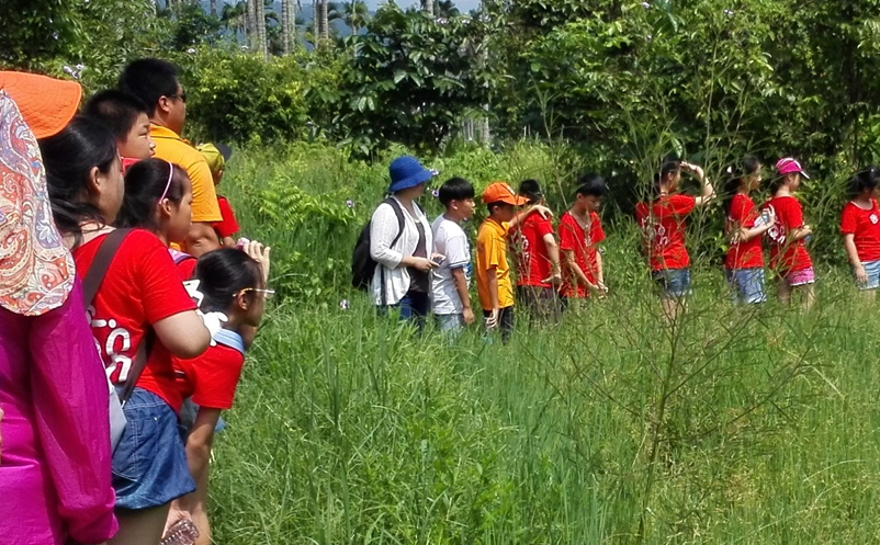 亲子研学、家庭休闲为主要出游动机 亲子研学、家庭休闲为主要出游动机