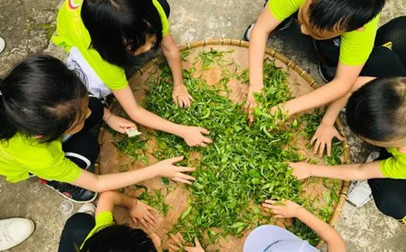 亲子研学、家庭休闲为主要出游动机 亲子研学、家庭休闲为主要出游动机