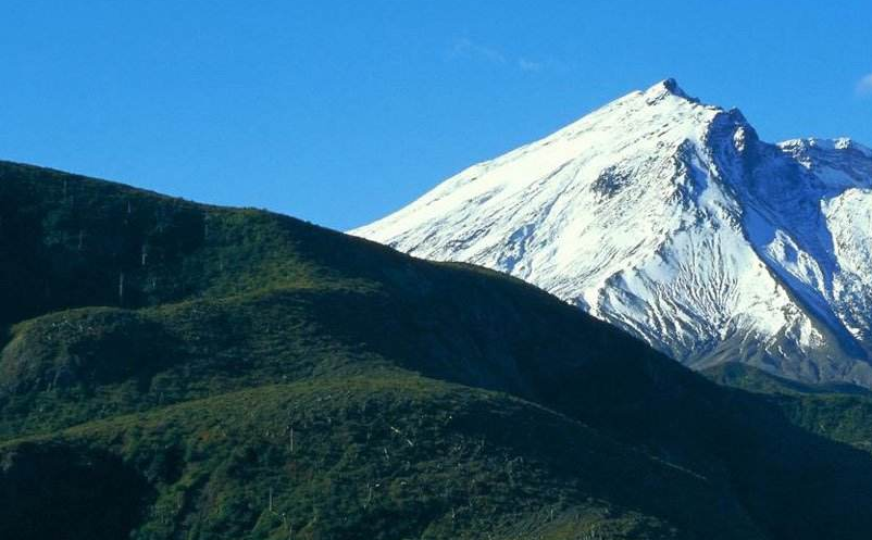 景区新媒体营销 景区新媒体营销