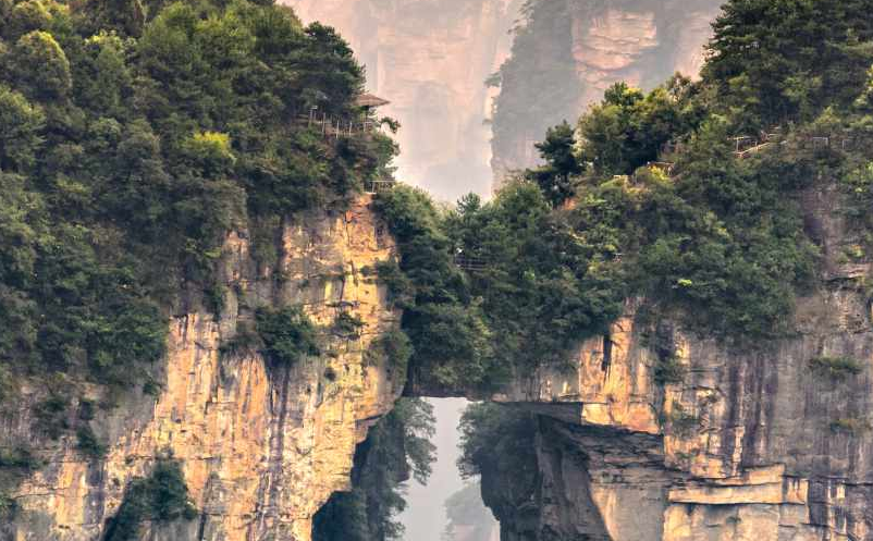 1646019403901310.png image.png