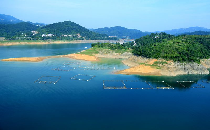 1646111689217949.png image.png