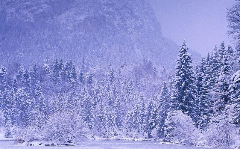 1646113303913303.png image.png