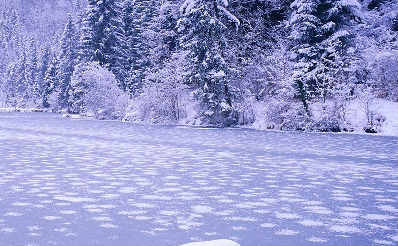 1646113629869630.png image.png