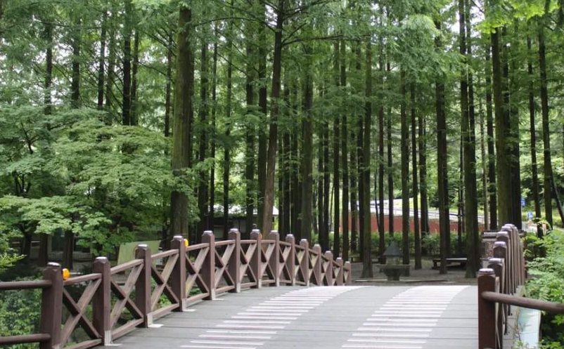 1646291298434311.png image.png