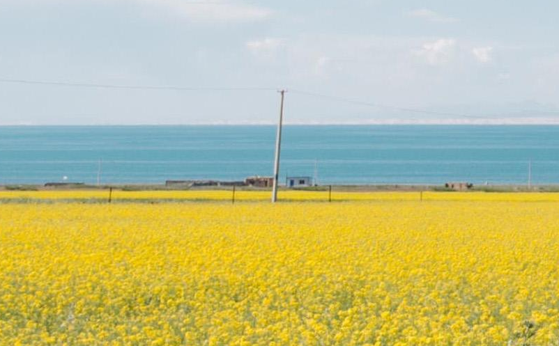 1646379601932203.png image.png