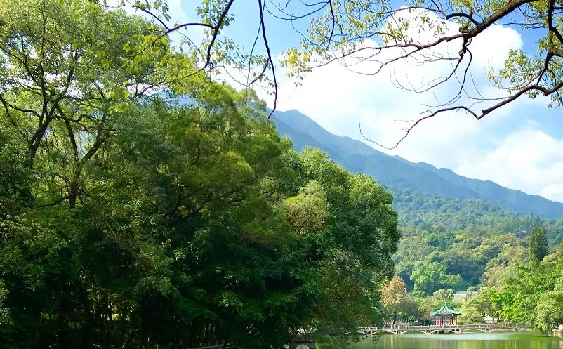 1646811945500029.png image.png