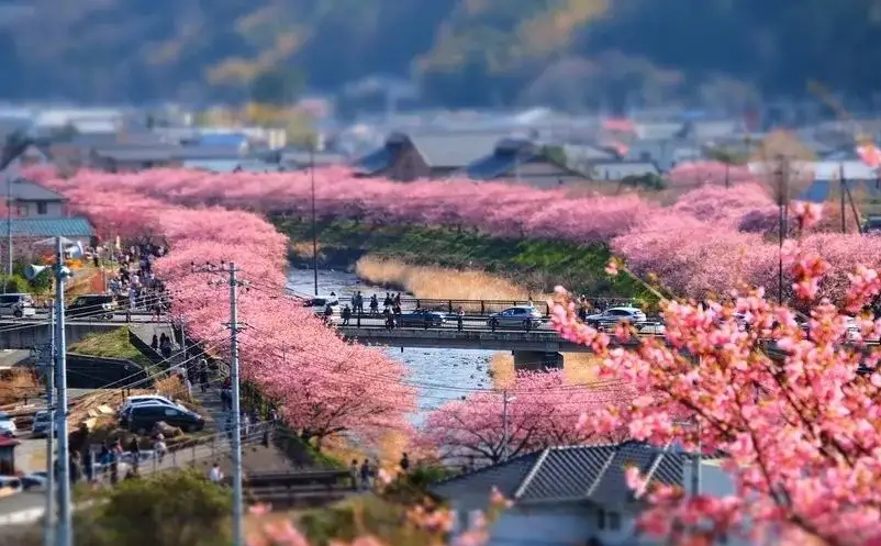 国家持续纾困解难，增强旅游业发展韧劲 