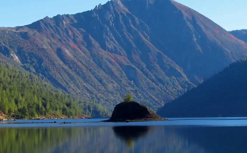 1647418650552817.png image.png