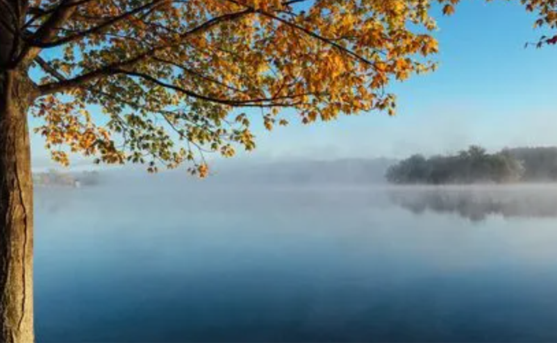 1647418674471916.png image.png