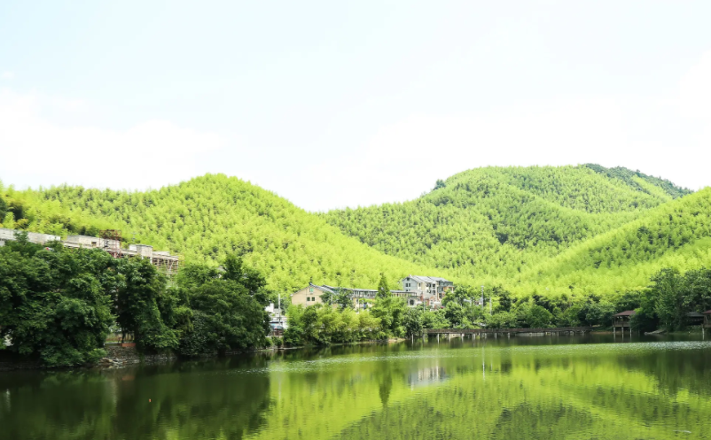 1647418849400970.png image.png