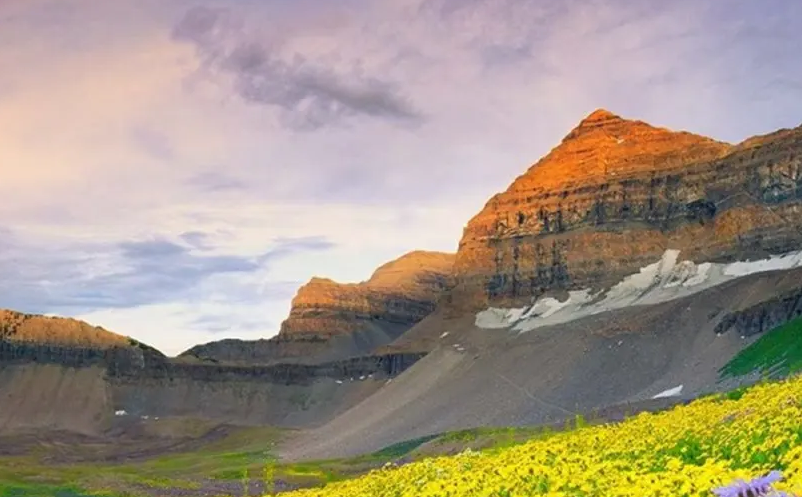 1647501856180630.png image.png