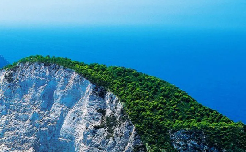 1647502477524152.png image.png