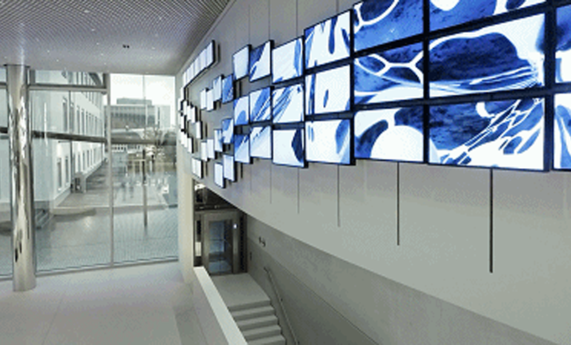 1647585898185593.png image.png