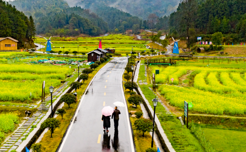 1647843163911245.png image.png