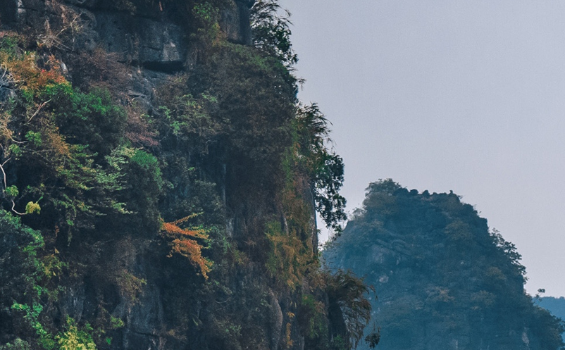 1648093372473339.png image.png