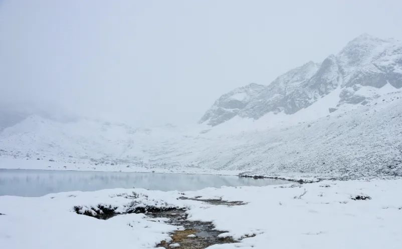 1648198912117158.png image.png