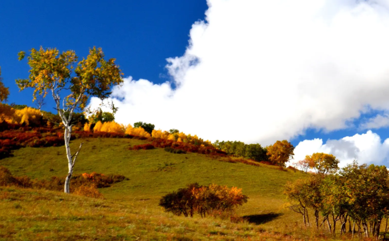 1648439419601930.png image.png