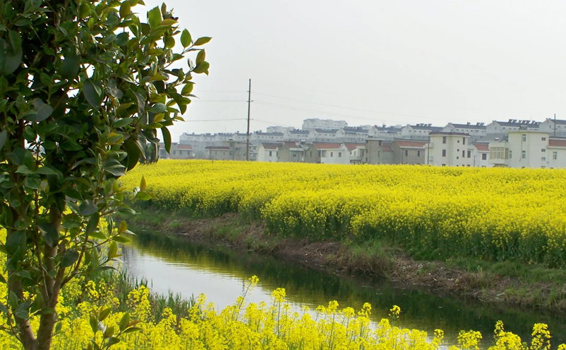 1648440341264532.png image.png