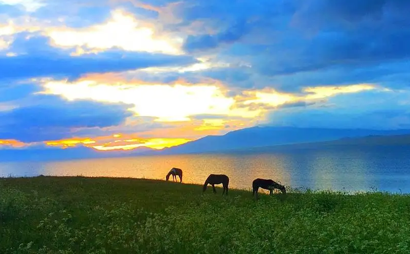 1649302735364815.png image.png