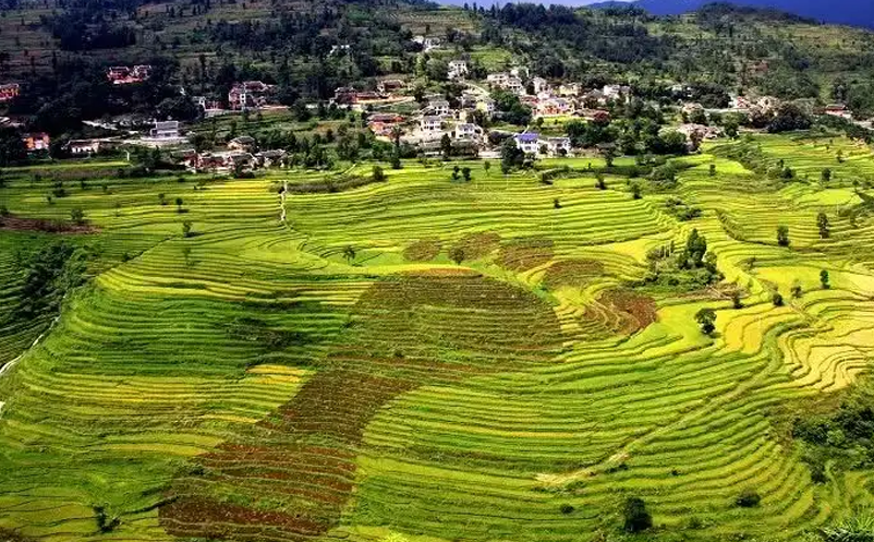 1649751946728630.png image.png