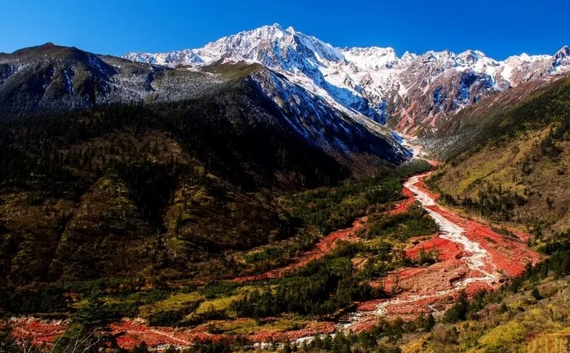 1649752142773407.png image.png