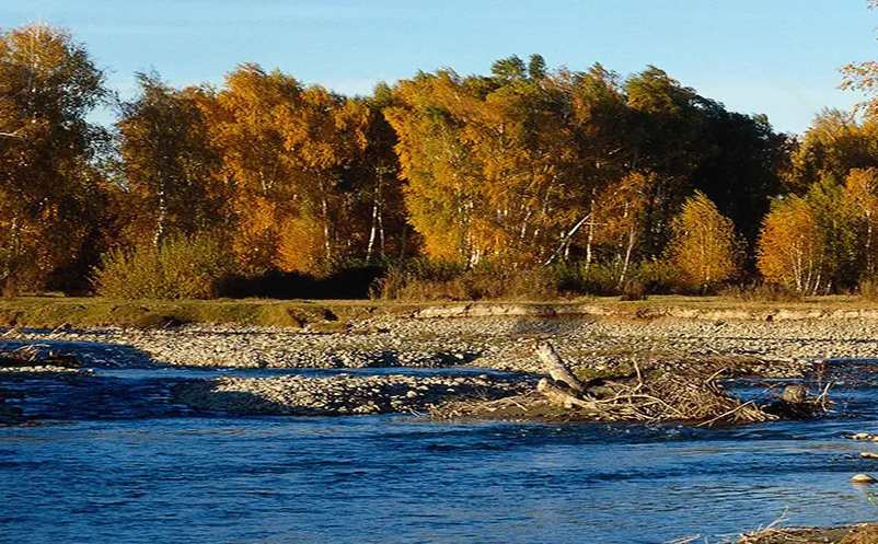 1649916551582121.png image.png