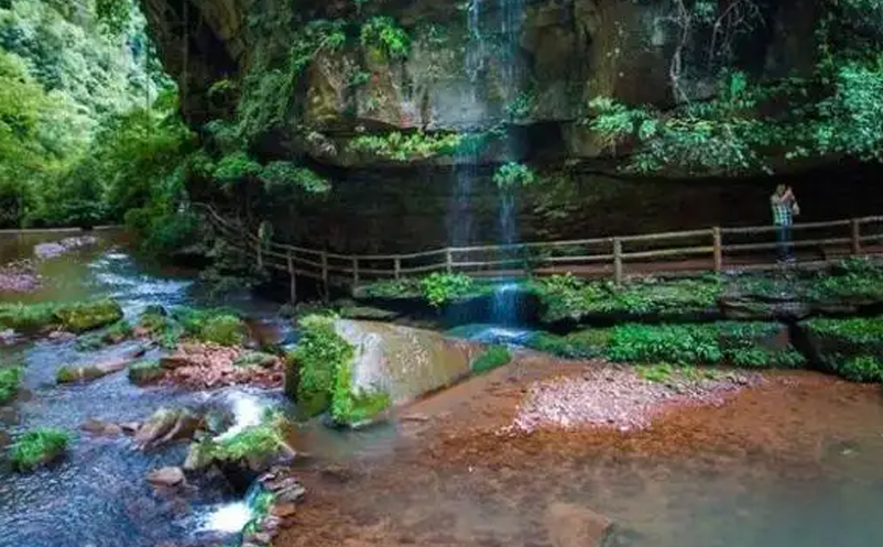 1650009519358395.png image.png