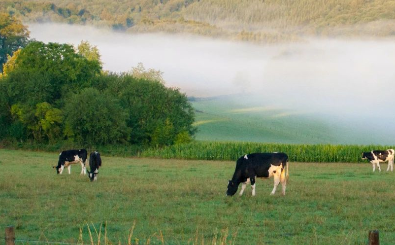 1650355802124295.png image.png