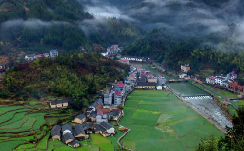 1650440796586322.png image.png