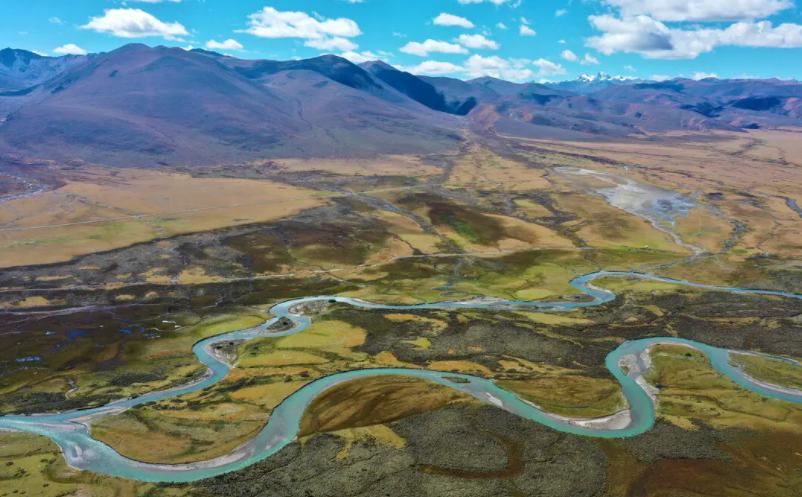 1650525415716187.png image.png