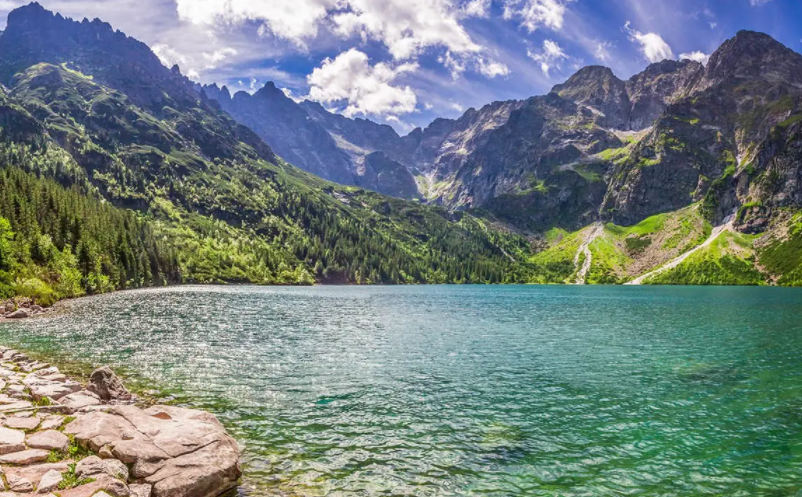 1650612608684845.png image.png