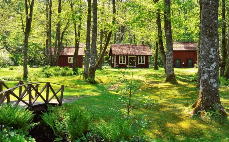 1650866819201655.png image.png